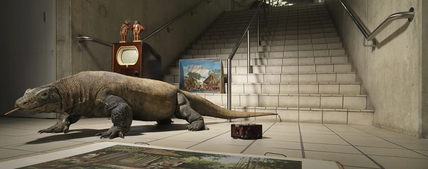 Collectie online afbeelding